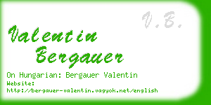 valentin bergauer business card